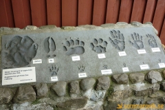 Frösö Zoo
