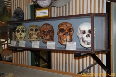 Frösö Zoo