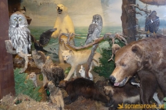 Frösö Zoo