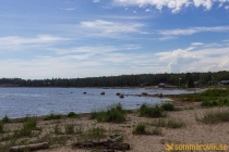 aggon_2019-05
