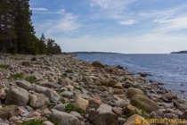 aggon_2019-08