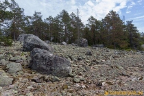 aggon_2019-09