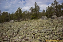 aggon_2019-10