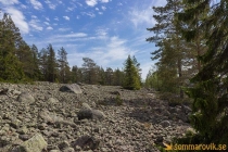 aggon_2019-11