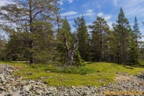 aggon_2019-12