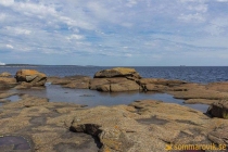 aggon_2019-15
