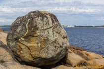 aggon_2019-21