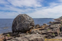 aggon_2019-27