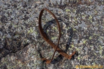 aggon_2019-28