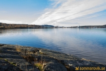 Alneskogen