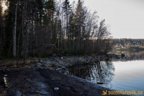 Alneskogen