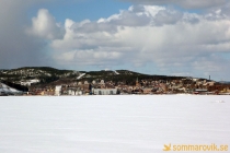 Alneskogen