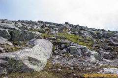 Åreskutan
