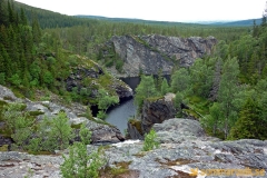 Brudslöjan