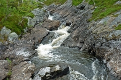 Brudslöjan