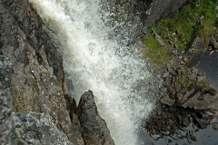 Brudslöjan