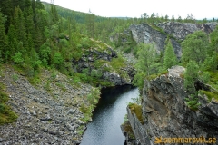 Brudslöjan