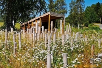 Arknat "Komponerar" Näske 2019