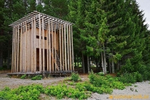 Arknat "Skogsdunge" Köpmanholmen 2019