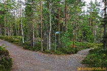 Arknat "Stranded" Rödhällorna, Lövvik 2019