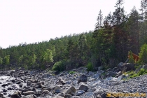 Arknat "Stranded" Rödhällorna, Lövvik 2019