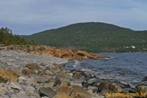 Arknat "Stranded" Rödhällorna, Lövvik 2019