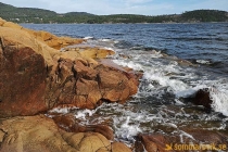 Arknat "Stranded" Rödhällorna, Lövvik 2019