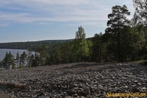Arknat "Stranded" Rödhällorna, Lövvik 2019