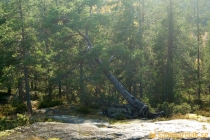 Åsberget