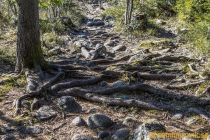 Åsberget