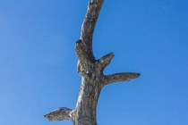 Åsberget