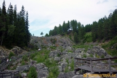 Döda fallet