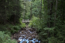 Forså kvarn