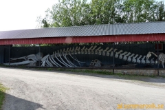 Frösö Zoo