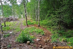 getsvedjeberget01