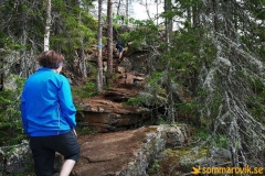 getsvedjeberget03