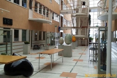 Hans Hedbergs museum