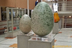 Hans Hedbergs museum