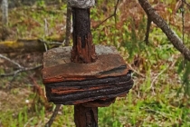 Herrgårdsparken