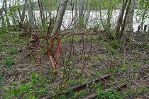 Herrgårdsparken