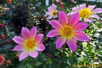 Herrgårdsparken