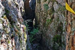 IMG_20200906_113949