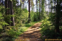 Idbyfjärdens naturreservat 2019