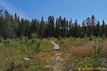 Idbyfjärdens naturreservat 2019