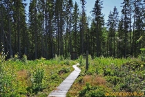 Idbyfjärdens naturreservat 2019