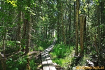Idbyfjärdens naturreservat 2019