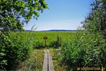 Idbyfjärdens naturreservat 2019