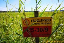 Idbyfjärdens naturreservat 2019