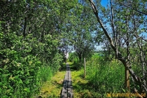 Idbyfjärdens naturreservat 2019