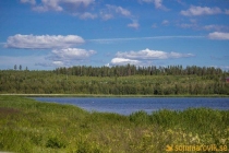 Idbyfjärdens naturreservat 2019